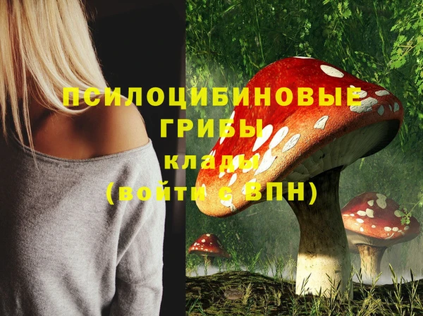 тгк Медногорск