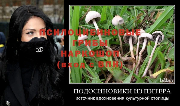 Альфа ПВП Мегион