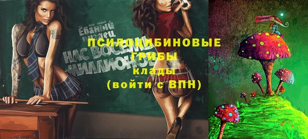 тгк Медногорск