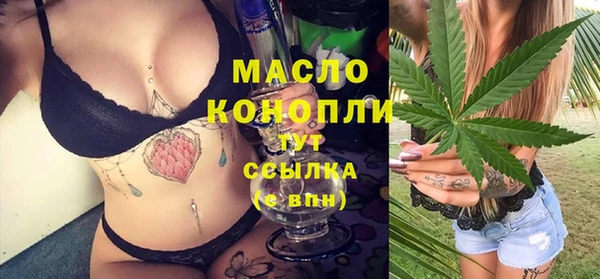 тгк Медногорск