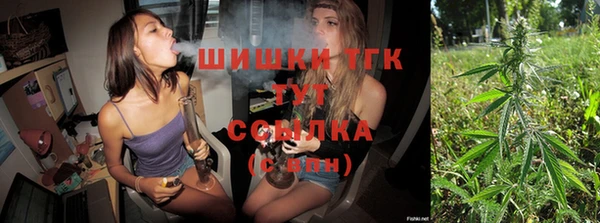 тгк Медногорск