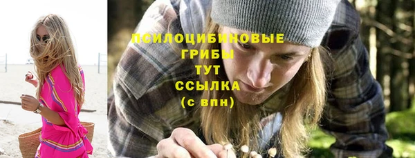 тгк Медногорск