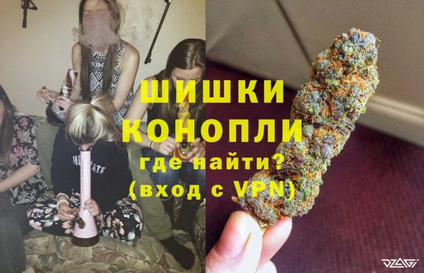 Альфа ПВП Мегион
