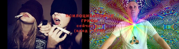 Альфа ПВП Мегион